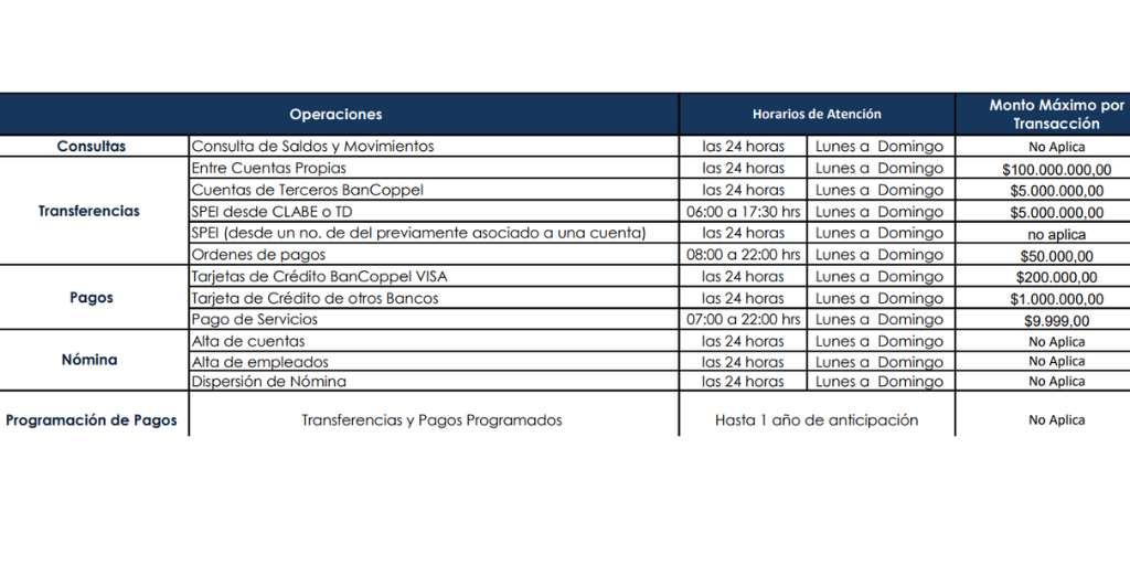 ¿Cuánto Tarda En Reflejarse Una Transferencia BBVA, HSBC Y Bancoppel?